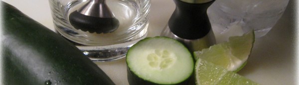 Vodka Cucumber and Lime Drink Ingredients https://manfuel.wordpress.com
