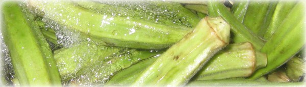 Fresh Okra! https://manfuel.wordpress.com