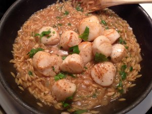 Scallops Added to Orzo Risotto with Parsley