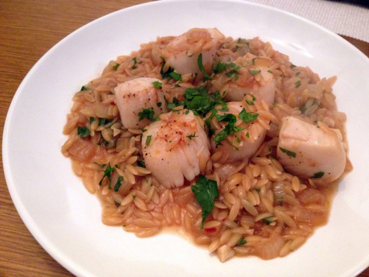 Scallops and Orzo Risotto