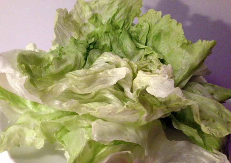 Iceberg Lettuce Leaves
