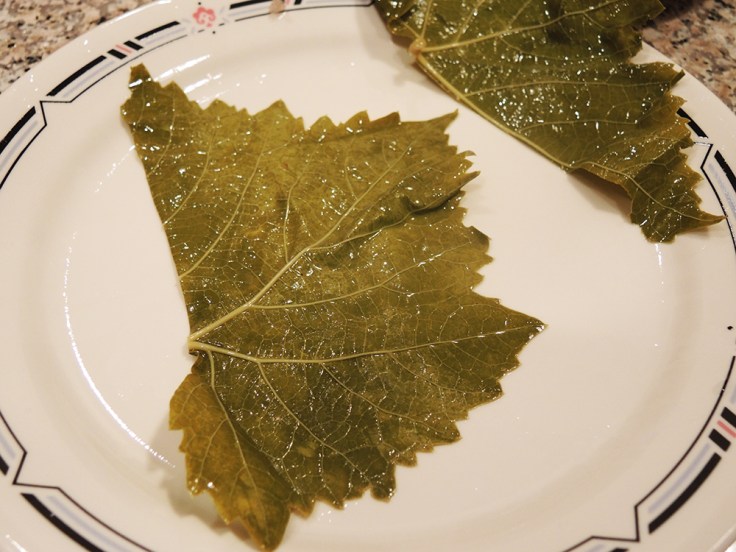 Grape Leaf Cut in Half Before Stuffing