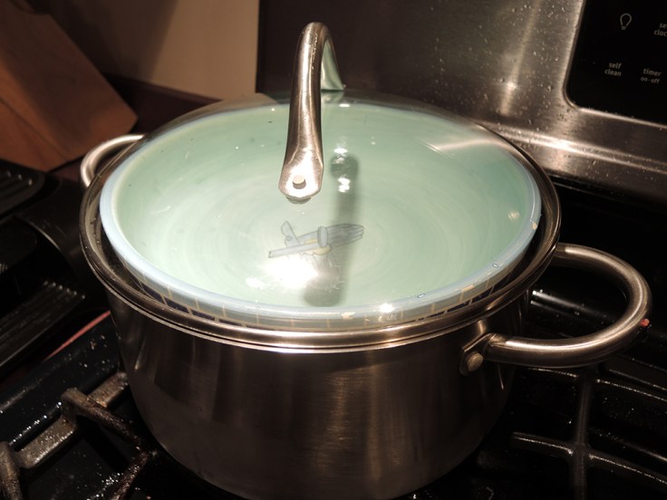 Grape Leaves Cooking by Man Fuel