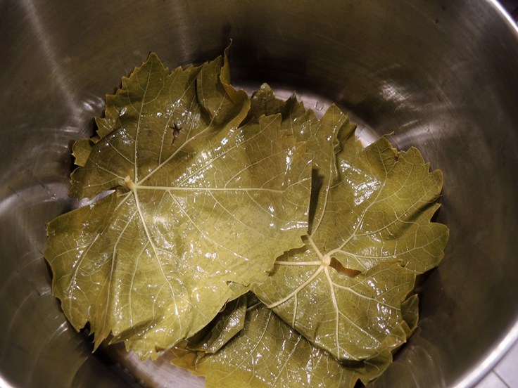 Grape Leaves Lining the Bottom of the Pot