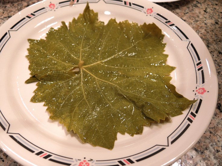 One spread out grape leaf