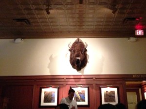 Teds Montana - Cranston RI