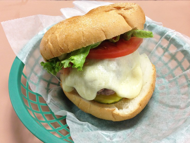 Ted's Famous Steamed Cheeseburger