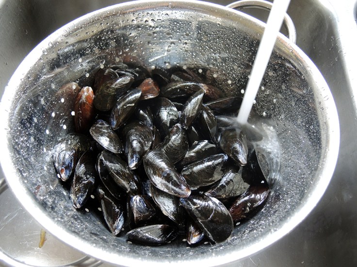 Washing Mussels Before Steaming