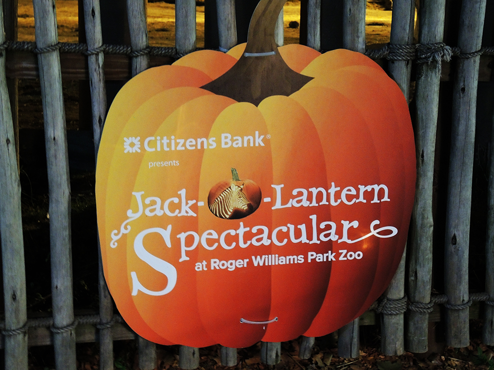 PUMPKIN学園/PumpKin 8mmCD Blue Seed Pumpkins - Jarrahdale | Circle Farms Canada
