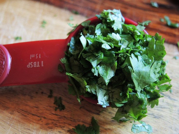 Man Fuel - Food Blog - Chopped Cilantro