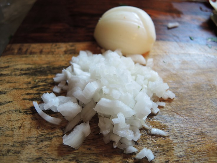 Man Fuel - food blog - Chopped Onion