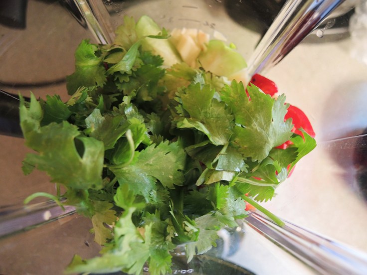 Man Fuel - food blog - Tomatillo Salsa Ingredients in Blender