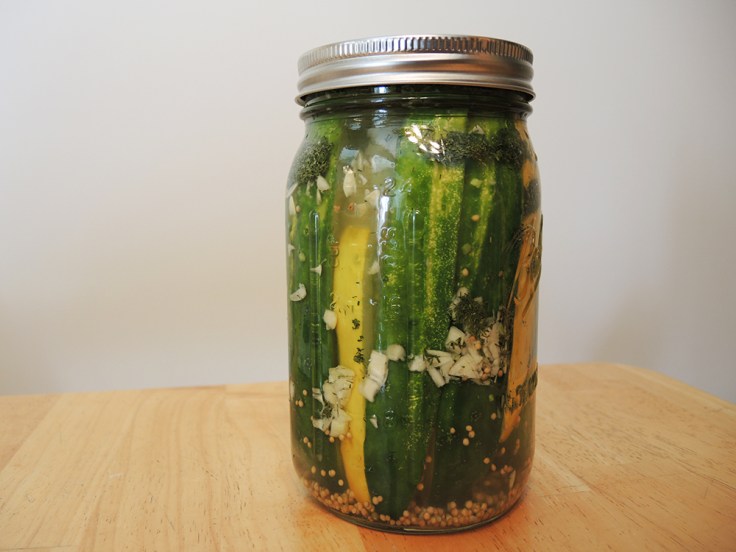 Man Fuel - Food Blog - Dill Pickles Recipe