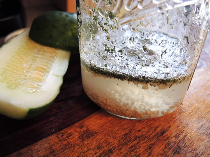 Man Fuel - Food Blog - Pickling Solution for Dill Pickles