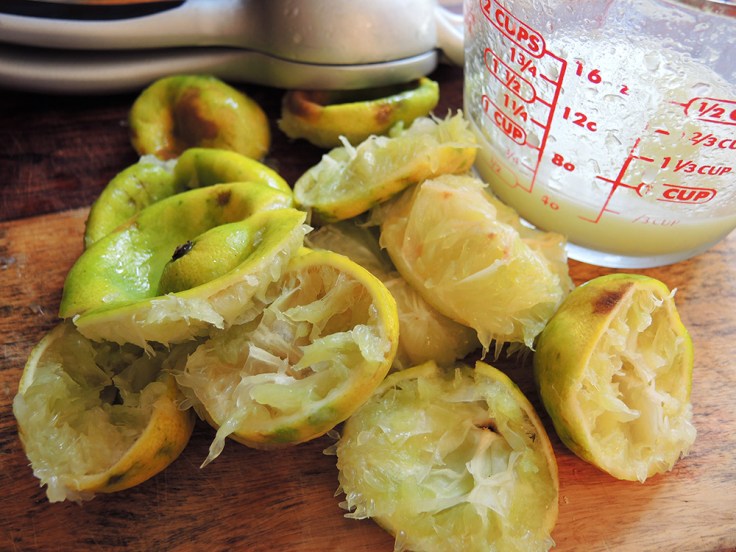 Man Fuel - food blog - Fresh Squeezed Lime Juice