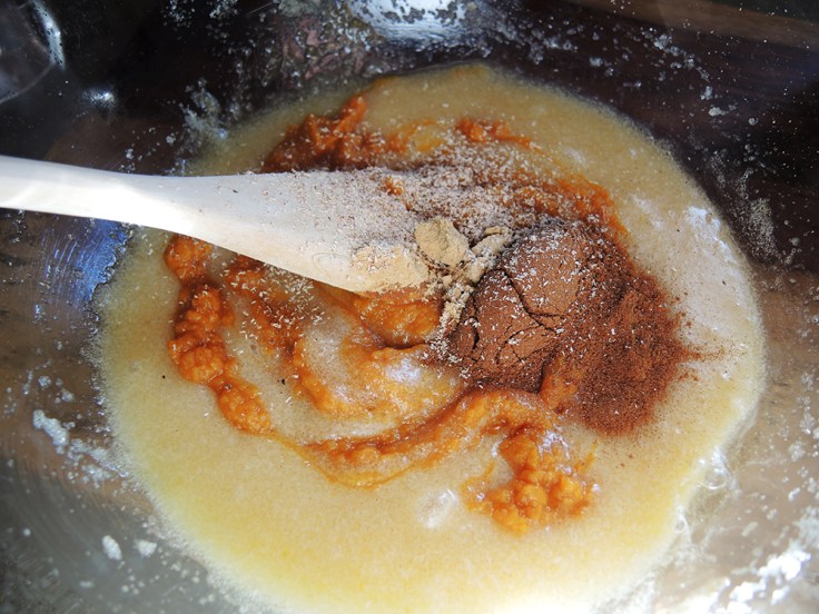 Man Fuel - Food Blog - Pumpkin Biscotti - Batter with Pumpkin and Spices