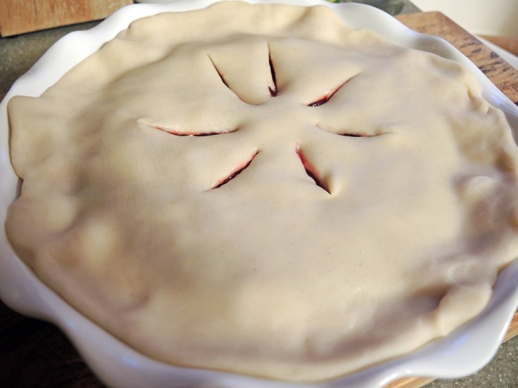 Man Fuel - Food Blog - Cranberry Pie Vents