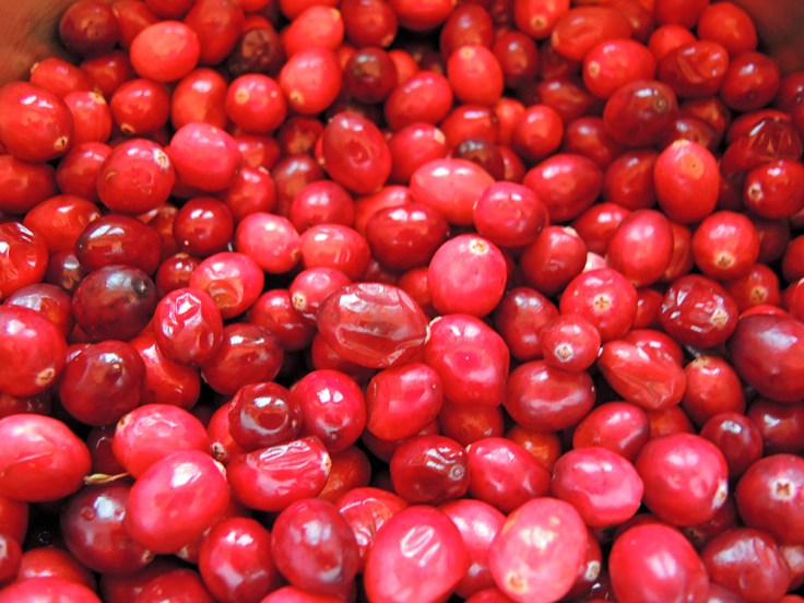 Man Fuel - Food Blog - Fresh Cranberries