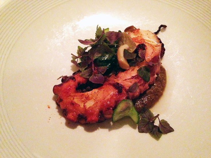 Man Fuel Food Blog - Craigie on Main - Camrbidge, MA - Octopus