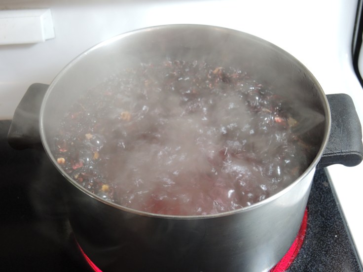 Man Fuel Food Blog - Steeping Hibiscus Leaves for Tea