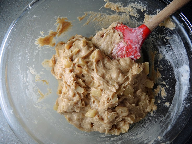 Man Fuel Food Blog - Apple Cider Doughnut Batter