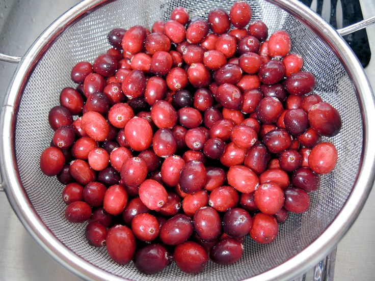 man-fuel-food-blog-cranberry-chutney-fresh-cranberries