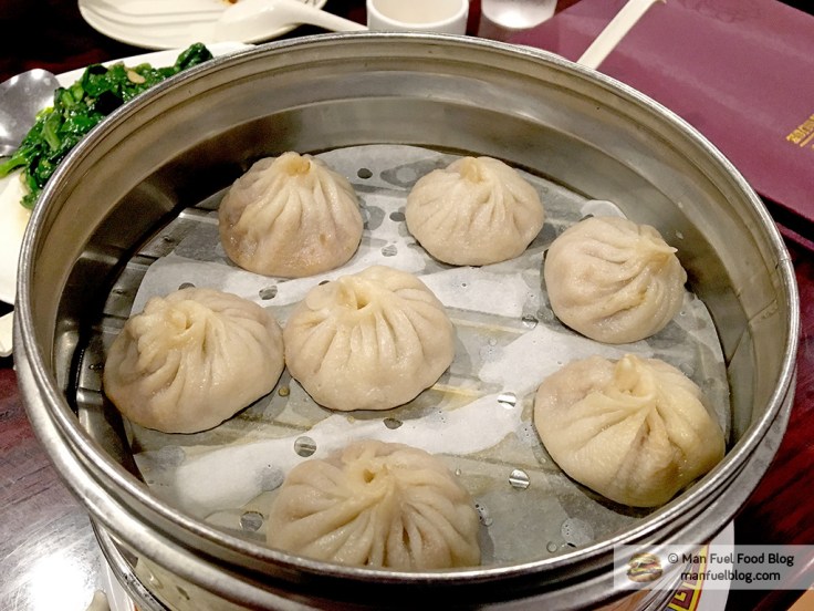 Man Fuel Food Blog - Dumpling House Review - Cambridge, MA - Soup Dumplings