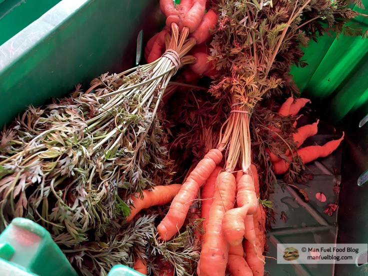 Man Fuel Food Blog - Brookwood Community Farm CSA - Carrots