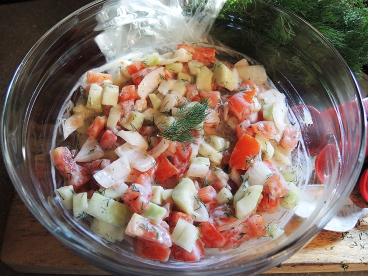 Man Fuel - food blog - Tomato Cucumber Onion and Dill Yogurt Summer Salad