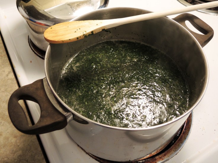 Home Is A Kitchen - Cooked Molokhia